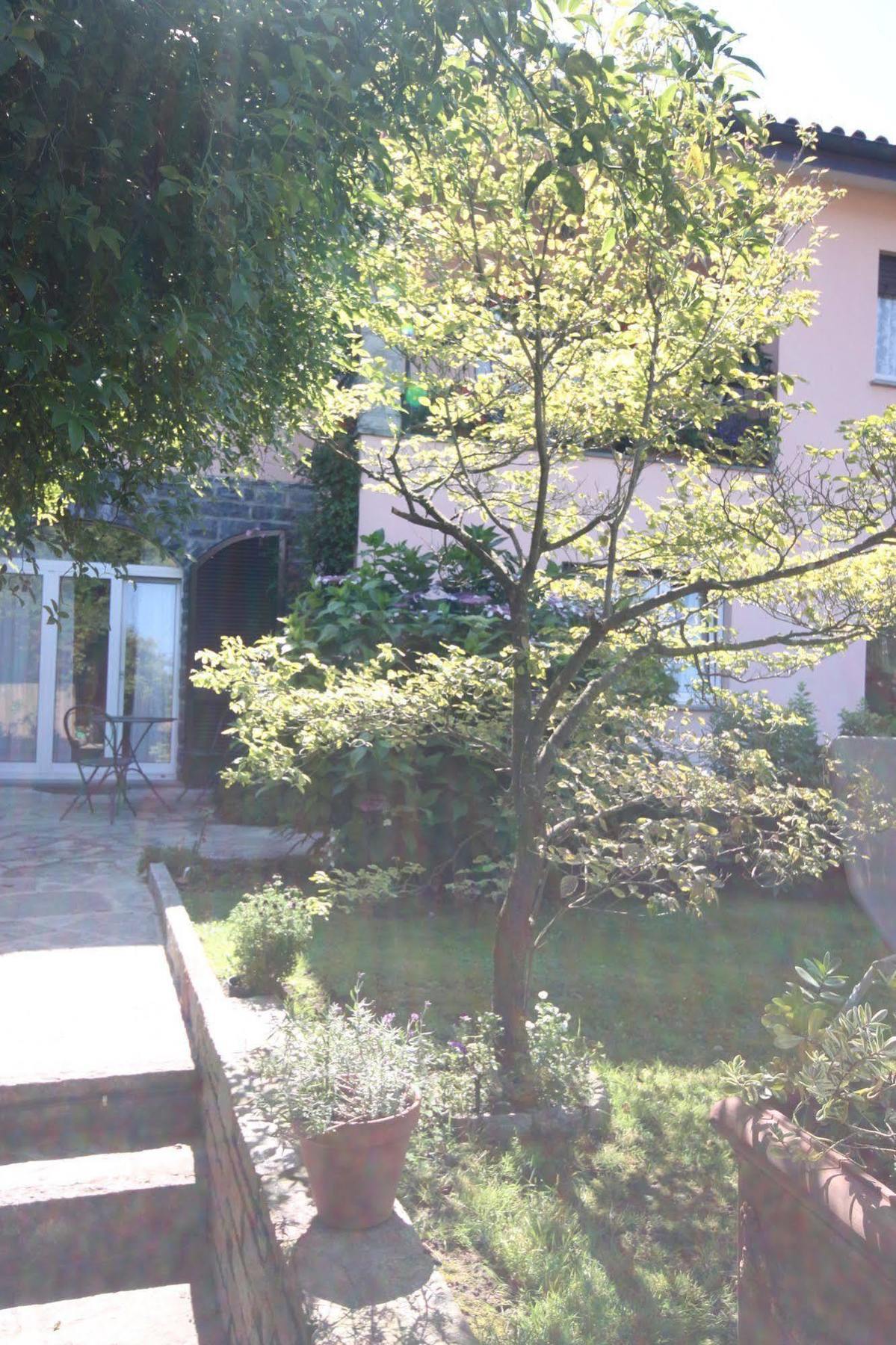 Balcone Fiorito Bed & Breakfast Menaggio Exterior photo