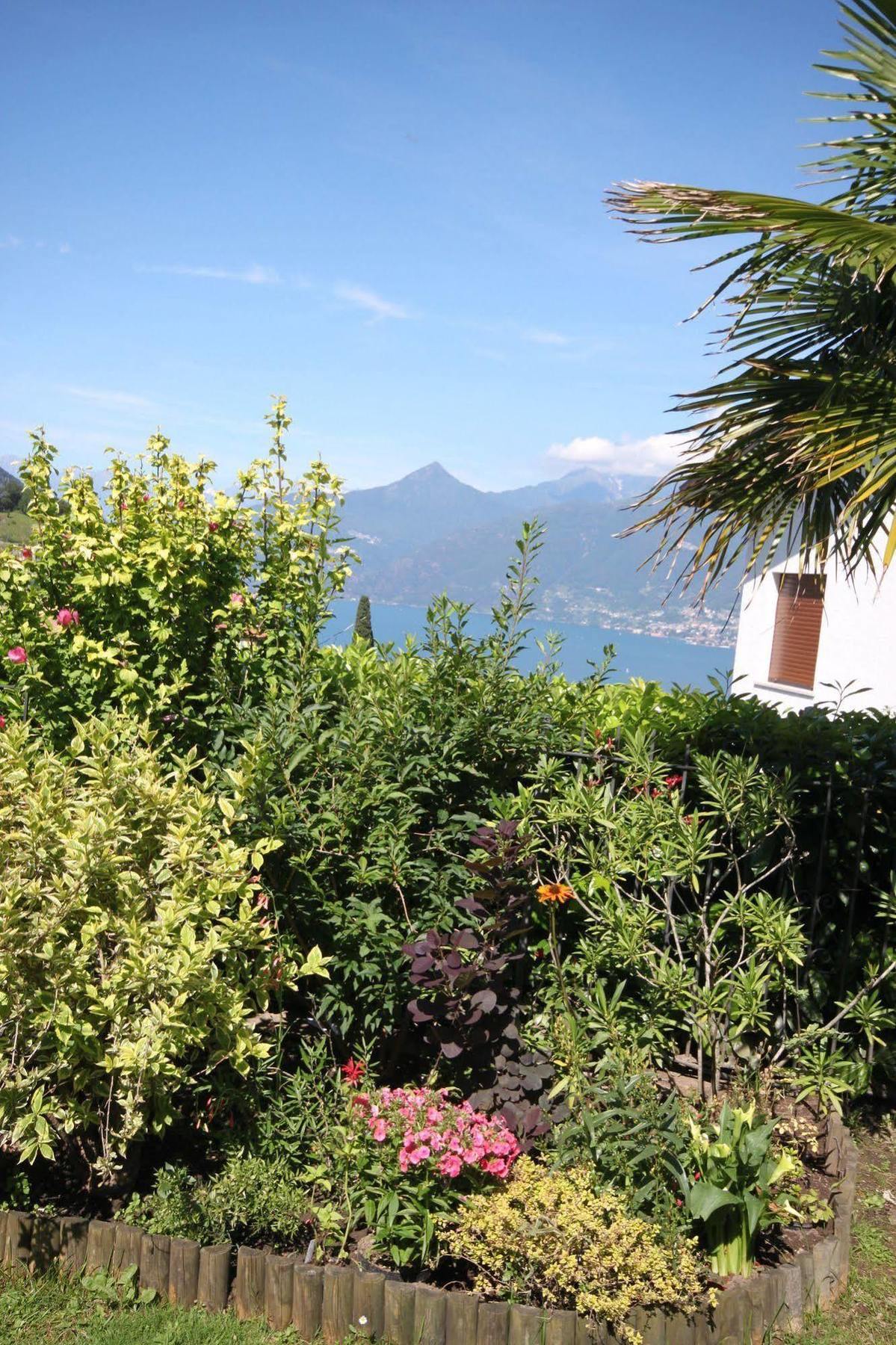 Balcone Fiorito Bed & Breakfast Menaggio Exterior photo
