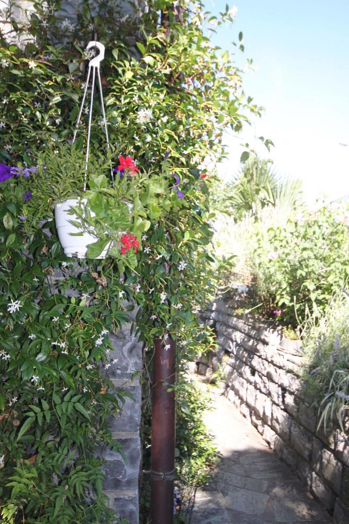 Balcone Fiorito Bed & Breakfast Menaggio Exterior photo