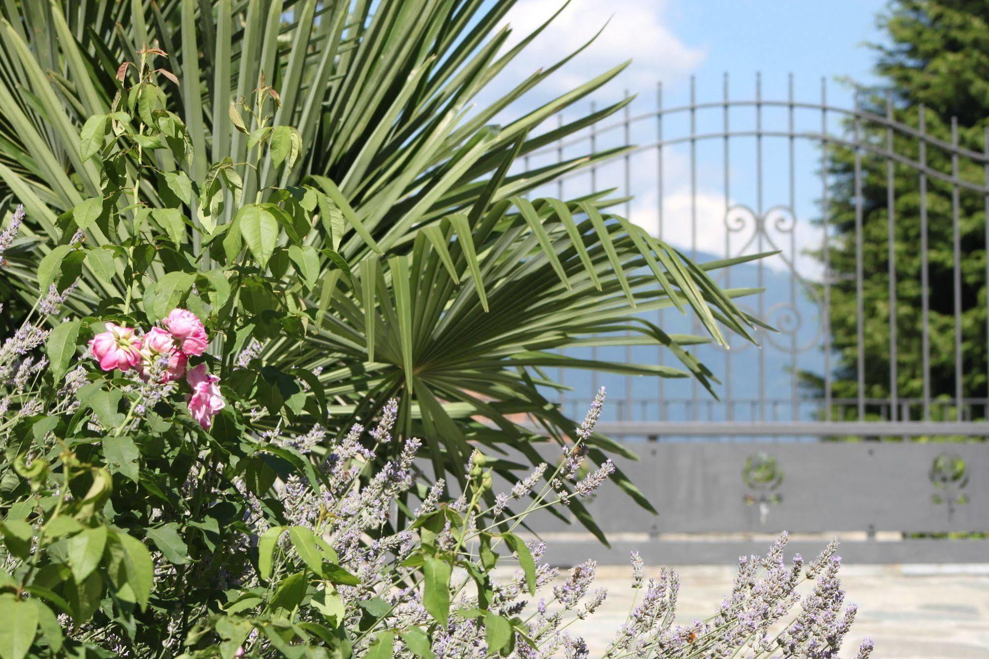 Balcone Fiorito Bed & Breakfast Menaggio Exterior photo