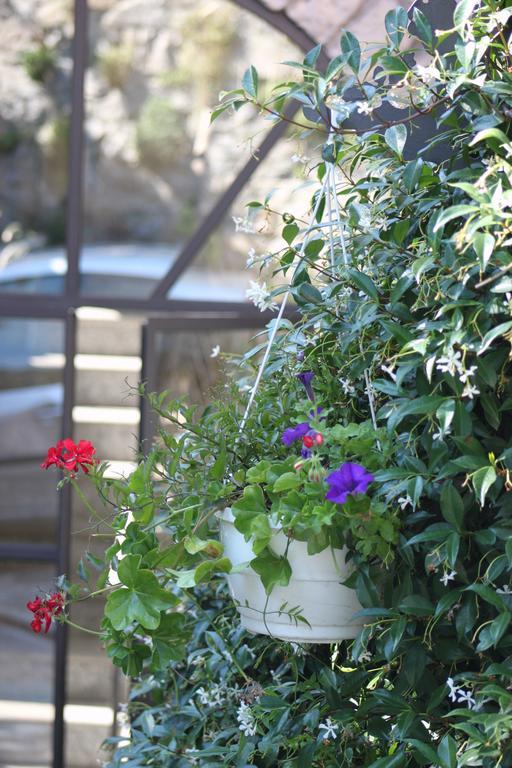 Balcone Fiorito Bed & Breakfast Menaggio Exterior photo