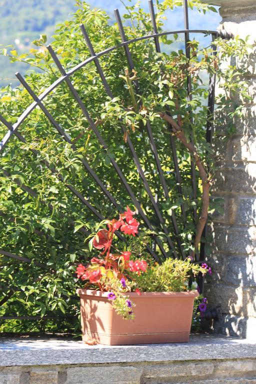 Balcone Fiorito Bed & Breakfast Menaggio Exterior photo
